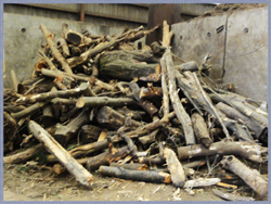 仕分け後の廃棄物（４）生木柱材